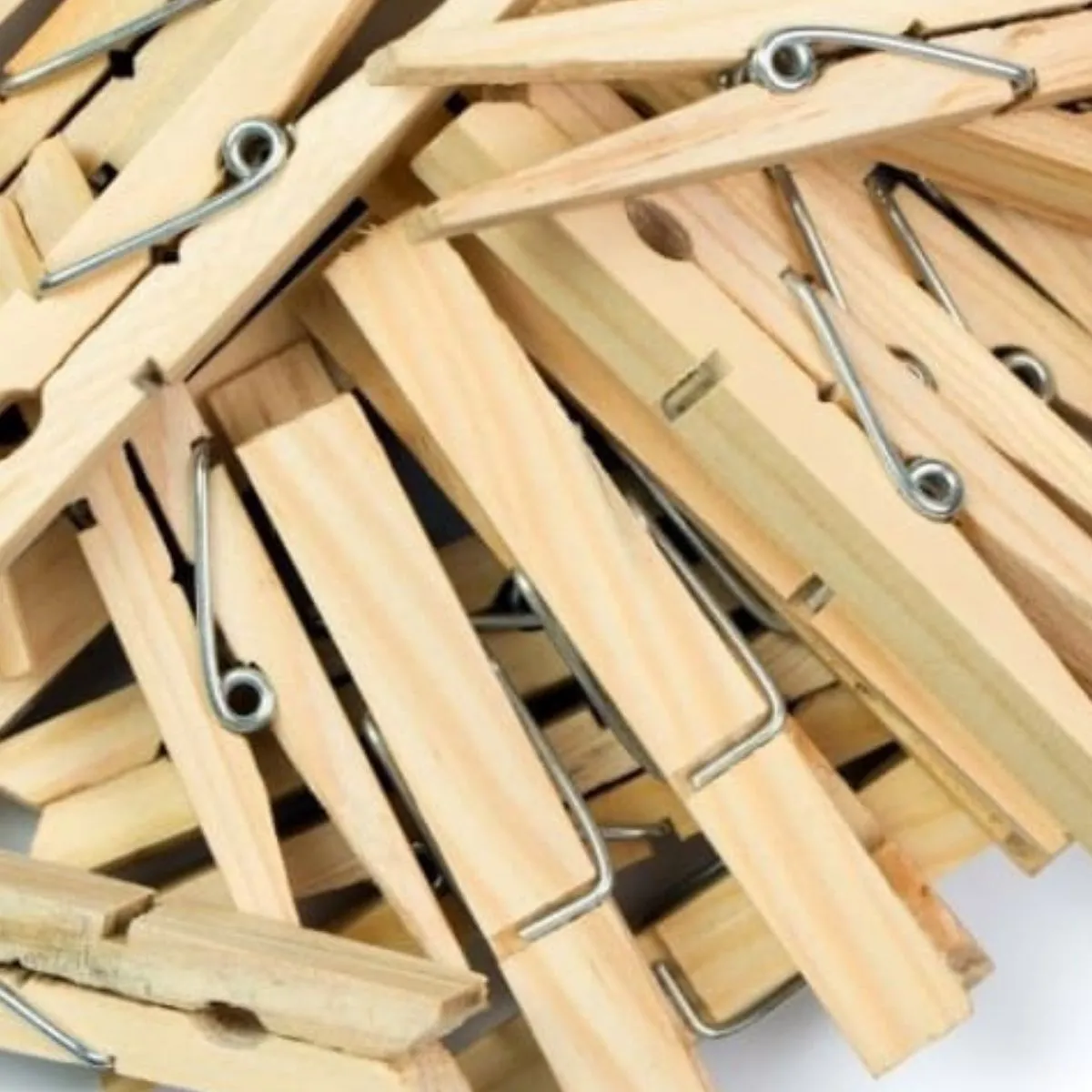 Bamboo Cloth Pegs | Durable | Laundry Essentials | Lightweight | Pack Of 20